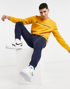 Оранжевый свитшот с логотипом на груди Champion-Оранжевый цвет
