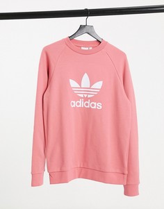 Розовый свитшот с большим логотипом-трилистником Adidas Originals adicolor