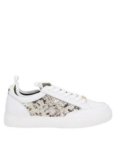 Низкие кеды и кроссовки Steve Madden