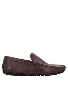Мокасины Giuseppe Zanotti