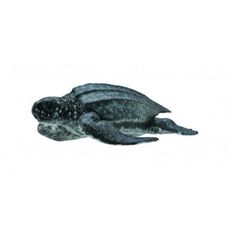 Фигурка Collecta Кожистая черепаха
