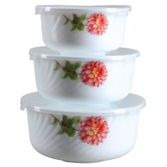 ROSENBERG Набор круглых контейнеров 400 мл, 800мл, 1400мл белый/красная астра