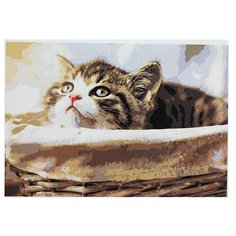 Рыжий кот картина по номерам Котик в корзине, 30х40 см (Х-9060)
