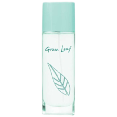 Туалетная вода Dilis Parfum Green Leaf, 50 мл