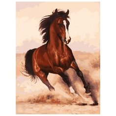 Белоснежка Картина по номерам "Галоп" 30х40 см (3107-CS)