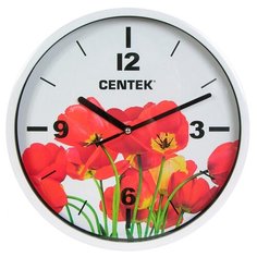 Часы настенные кварцевые CENTEK CT-7102 tulips