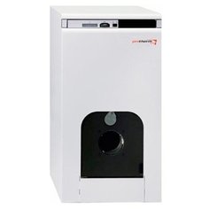 Комбинированный котел Protherm Бизон 60 NL 59.7 кВт одноконтурный