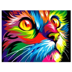 Цветной Картина по номерам "Радужный кот" 30х40 см (EX5290)