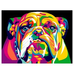 Цветной Картина по номерам "Радужный американский бульдог" 30х40 см (EX5371)