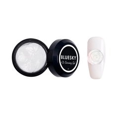 Пластилин Bluesky Carving gel 4D 01 белый