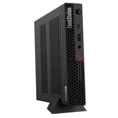 Рабочая станция Lenovo ThinkStation P340 Tiny (30DF002ARU) Intel Core i7-10700T/16 ГБ/512 ГБ SSD/NVIDIA Quadro P1000/Windows 10 Pro черный