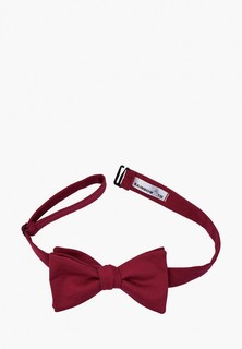Бабочка Rainbowtie