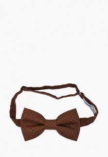 Бабочка Rainbowtie