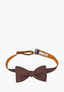 Бабочка Rainbowtie