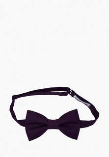 Бабочка Rainbowtie