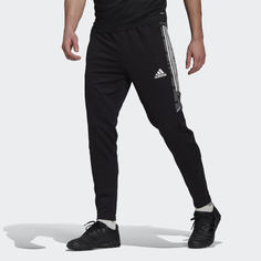 Брюки Condivo 21 Primeblue adidas Performance
