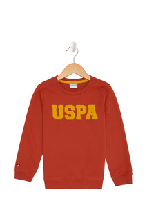 Свитшот U.S. Polo Assn.