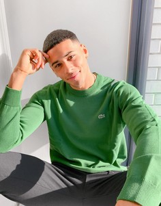 Зеленый трикотажный джемпер с круглым вырезом и логотипом Lacoste