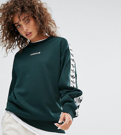 Зеленый свитшот с круглым вырезом и фирменной лентой adidas Originals