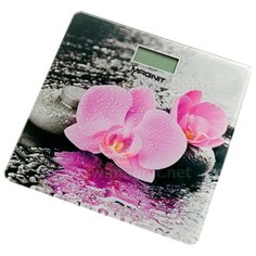 Весы электронные MAGNIT RMX-6307