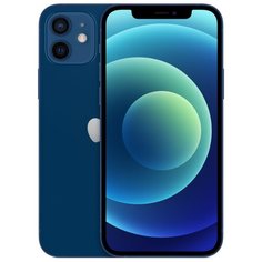 Смартфон Apple iPhone 12 256GB синий (MGJK3RU/A)