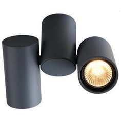 Спот Arte Lamp Gavroche A1511PL-2GY
