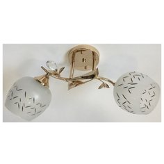 Люстра IMEX MD.0475-2-S FGD, E27, 120 Вт