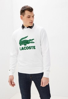Свитшот Lacoste