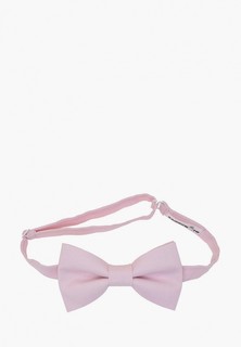 Бабочка Rainbowtie