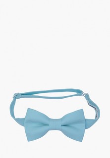 Бабочка Rainbowtie