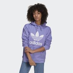 Худи Adicolor Trefoil adidas Originals