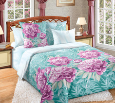 Постельное белье «Пенелопа 2» (2.0) бязь Текс Дизайн