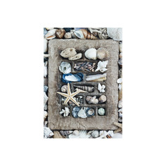 Пазл Schmidt Сокровища моря 58298