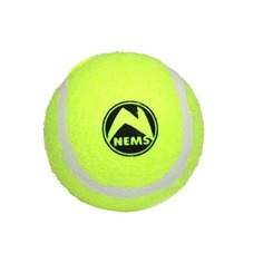 Апорт, игрушка-пищалка для собак Nems , мяч большой, зеленый, 8 см