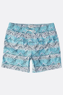 Шорты Sunday2 Pigment Lb, мультиколор, M Billabong