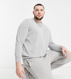 Серый вязаный джемпер с круглым вырезом и логотипом Lacoste