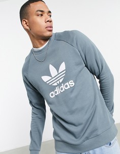 Сине-зеленый свитшот от комплекта с большим логотипом adidas Originals adicolor-Зеленый цвет
