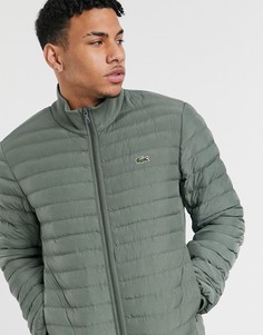 Легкая стеганая куртка на молнии со складывающимся дизайном Lacoste-Зеленый цвет