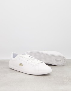 Белые кроссовки с золотистой отделкой и эффектом крокодиловой кожи Lacoste Graduate-Белый
