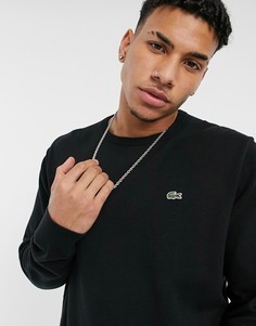 Мужской джемпер из хлопка Lacoste-Черный цвет
