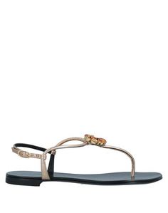 Вьетнамки Giuseppe Zanotti
