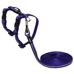 Комплект Rogz AlleyCat XS CLJ216 (поводок + шлейка) фиолетовый