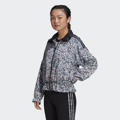 Олимпийка adidas Originals