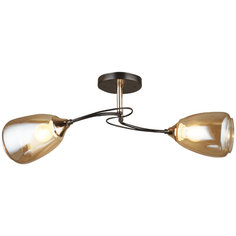 Потолочная люстра WEDO LIGHT SABATO 66267.01.69.02