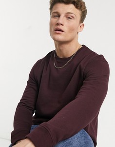 Бордовый свитшот Burton Menswear-Красный