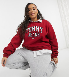 Бордовый свитшот с круглым вырезом и логотипом в университетском стиле Tommy Jeans Plus-Красный