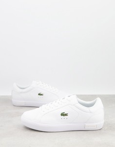 Белые кроссовки на плоской каучуковой подошве Lacoste Gripshot-Белый