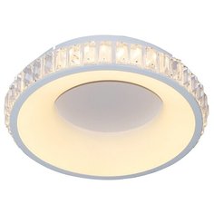 Светильник светодиодный ESCADA 10214/1LED, LED, 60 Вт