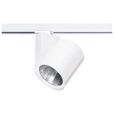 Трековый светильник-спот Eglo Ferronego 61452