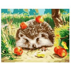 Paintboy Картина по номерам "Ёжик с райками" 40х50 см (GX6215)